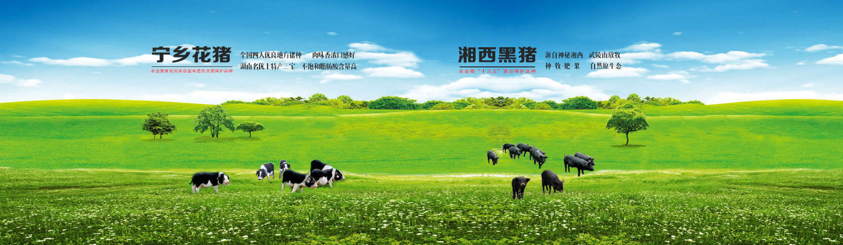 CA88(中国集团)官方网站